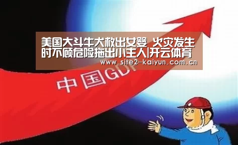 美国大斗牛犬救出女婴 火灾发生时不顾危险拖出小主人|开云体育(图1) 开云体育
