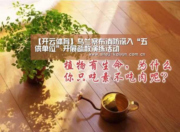 开云体育