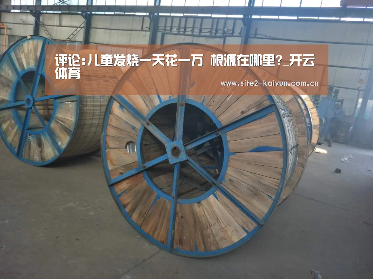评论:儿童发烧一天花一万 根源在哪里?_开云体育(图1) 开云体育