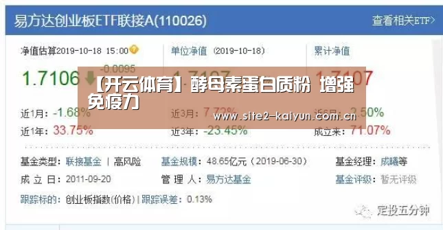 开云体育