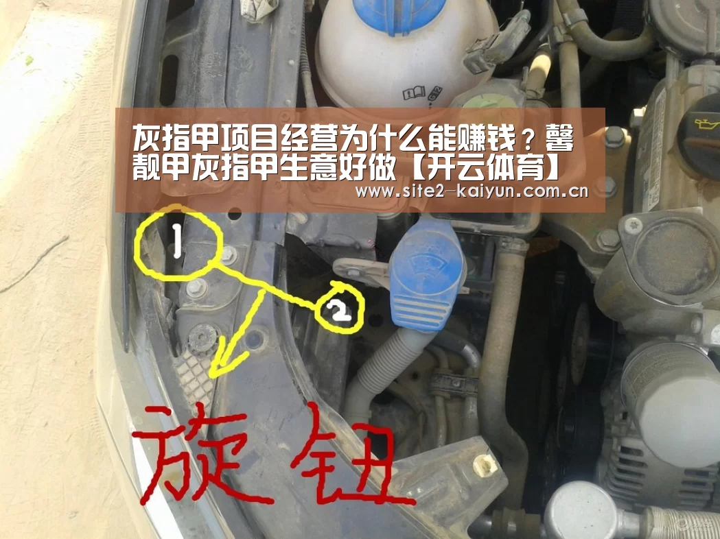 开云体育