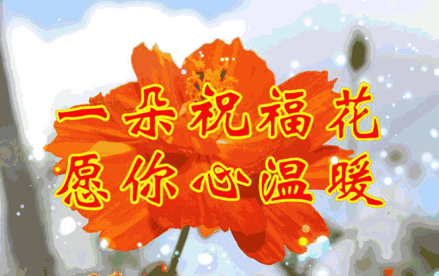 开云体育
