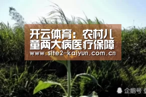 开云体育