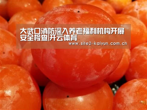 大武口消防深入养老福利机构开展安全检查|开云体育(图1) 开云体育
