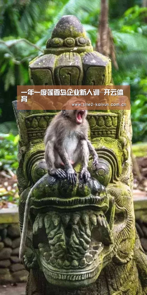 开云体育