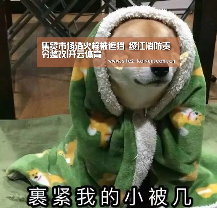 开云体育