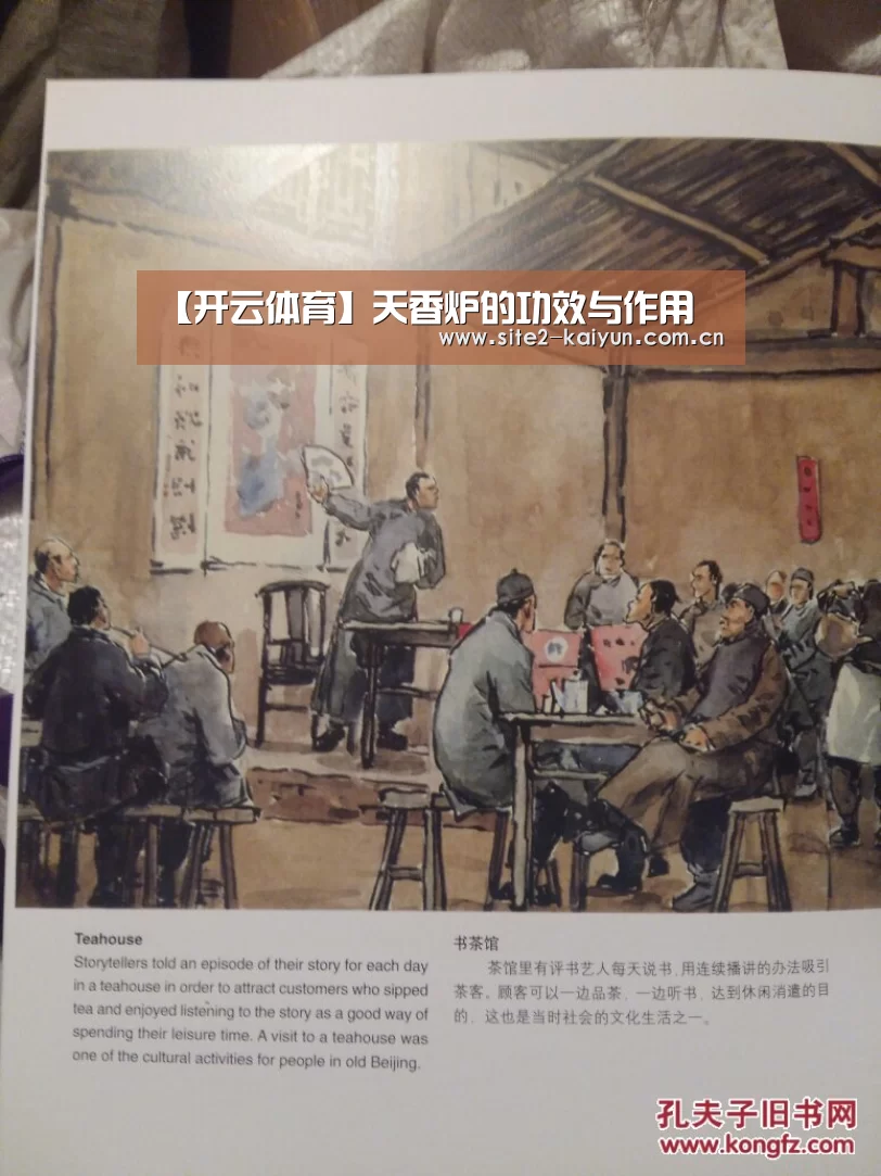 开云体育