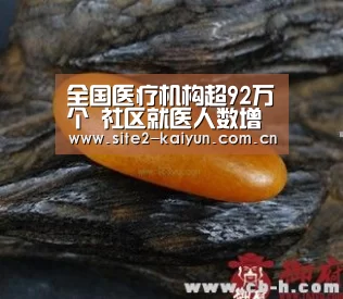 全国医疗机构超92万个 社区就医人数增长快-开云体育(图3) 开云体育