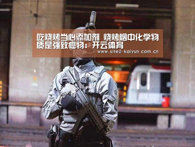 吃烧烤当心添加剂 烧烤烟中化学物质是强致癌物:开云体育(图1) 开云体育