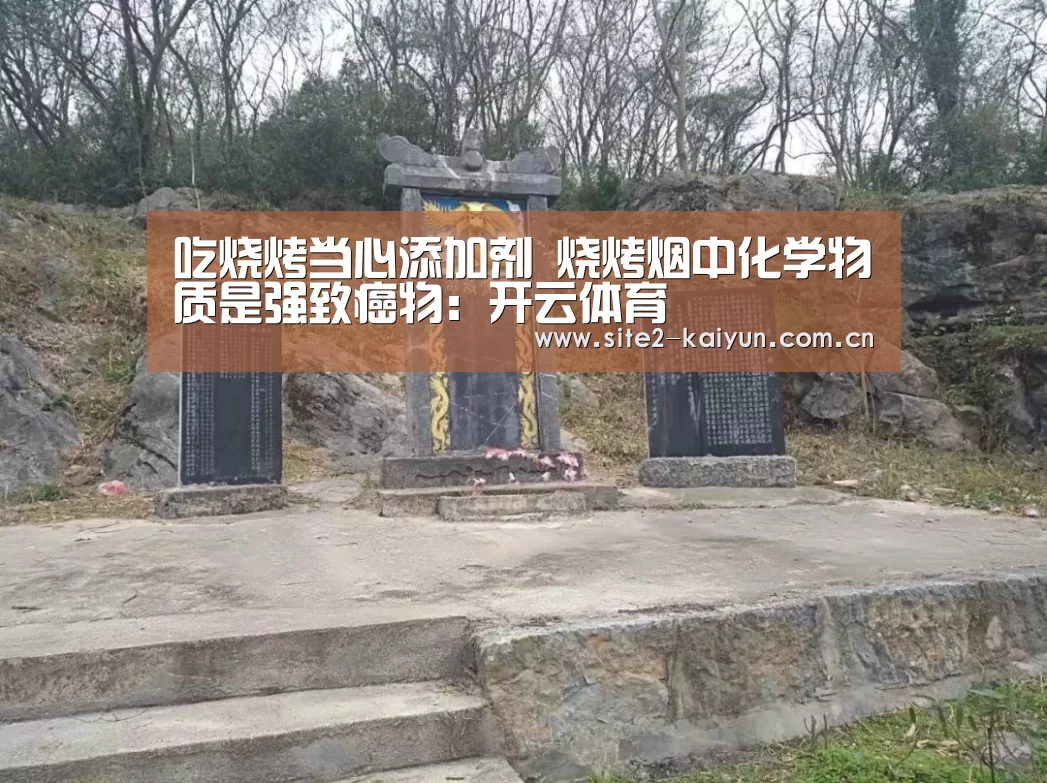 吃烧烤当心添加剂 烧烤烟中化学物质是强致癌物:开云体育(图4) 开云体育