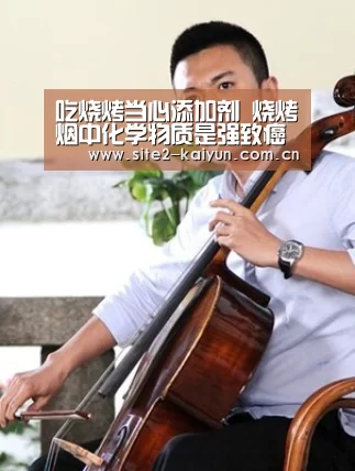 吃烧烤当心添加剂 烧烤烟中化学物质是强致癌物:开云体育(图2) 开云体育