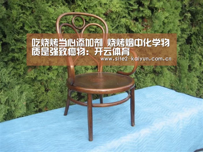 吃烧烤当心添加剂 烧烤烟中化学物质是强致癌物:开云体育(图3) 开云体育